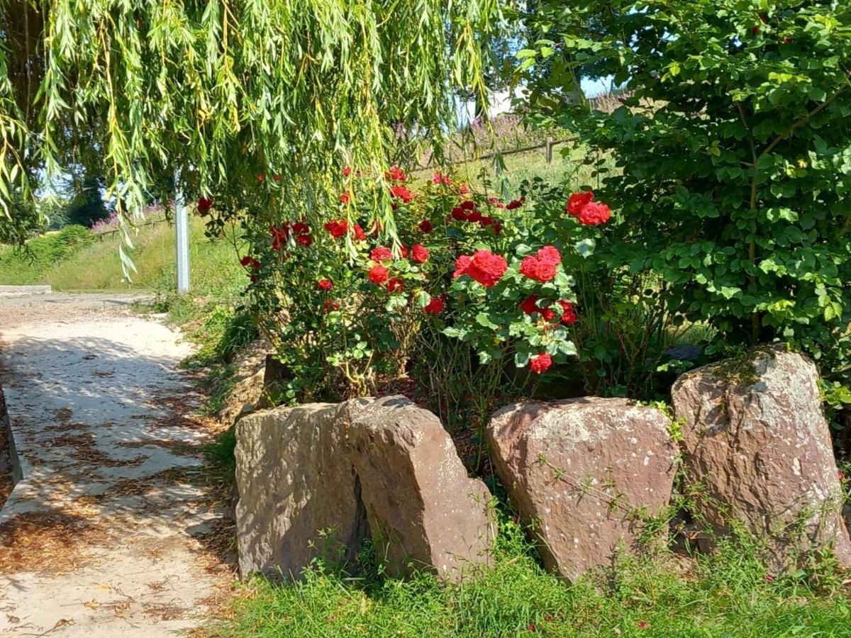 A La Memoire De Merlin & Spa Saint-Malon-sur-Mel エクステリア 写真
