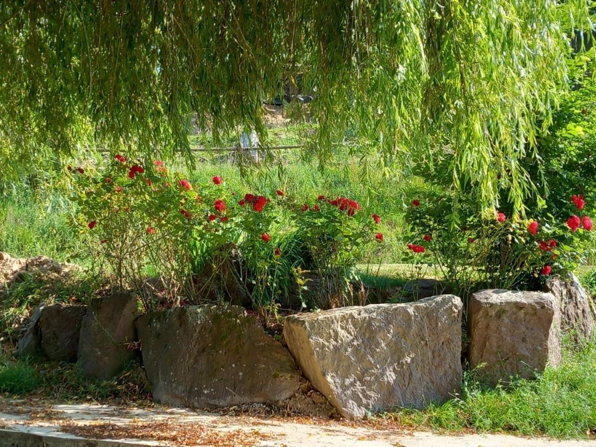 A La Memoire De Merlin & Spa Saint-Malon-sur-Mel エクステリア 写真